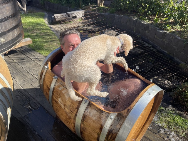 Barrel Ice Bath in use with an unexpected visitor 
